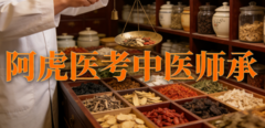 中医师承哪家机构性价比高？一位35岁转行学员的实操分享